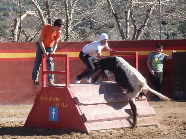  逃跑来自小母牛 